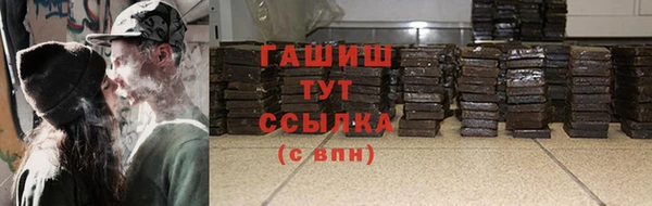 соль ск Каменногорск
