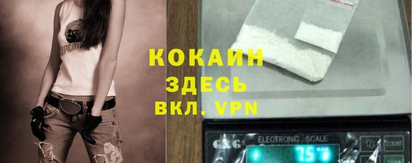 соль ск Каменногорск