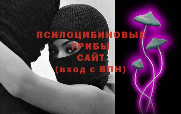 соль ск Каменногорск