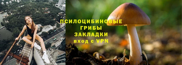 МДПВ Каменск-Шахтинский