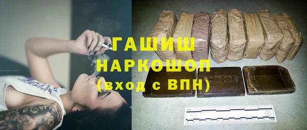 соль ск Каменногорск